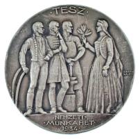Berán Lajos (1882-1943) 1933. TESZ (Társadalmi Egyesületek Szövetsége) - Nemzeti Munkahét 1934. ezüstözött bronz emlékérem (60mm) T:AU  TP 232.