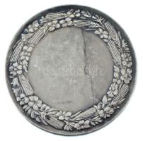 Berán Lajos (1882-1943) 1933. "TESZ (Társadalmi Egyesületek Szövetsége) - Nemzeti Munkahét 1934...