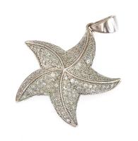 Ezüst(Ag) tengeri csillag medál, jelzett, d: 2,5 cm, bruttó: 4,3 g