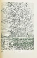 Bársony István: Erdőn, mezőn. Természeti és vadászati képek. Kiváló magyar művészek eredeti rajzaiva...