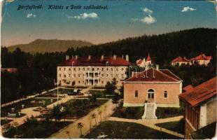 1917 Bártfa, Bártfafürdő, Bardejovské Kúpele, Bardiov, Bardejov; Kilátás a Deák szállodával. Rosenfeld Salamon kiadása / hotel, spa (kopott sarkak / worn corners)