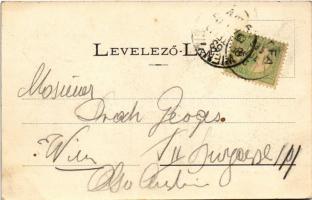 1905 Bártfa, Bártfafürdő, Bardejovské Kúpele, Bardiov, Bardejov; Főforrás tér. Divald Adolf 160. / s...