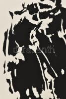 Hajdú István (Etienne Hajdu, 1907-1996): Kék szakál hetedik felesége (Bartók). Szitanyomat, papír. J...