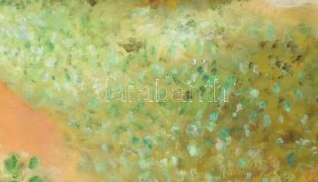 Jelzés nélkül: Város. Olaj, farost. Dekoratív fakeretben, 50x65 cm