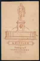 cca 1880 Férfiportré, keményhátú fotó Wippler herkulesfürdői műterméből, 10×6,5 cm