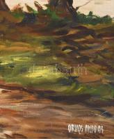 Orvos András (1939- ): Vízparti táj. Olaj, vászon, jelezve jobbra lent. Hátoldalán Zichy Galéria cím...