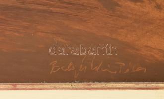 Balogh István Péter (1950-): Aranyrepce. Olaj, farost, jelezve jobbra lent. Hátoldalán Képcsarnok Vá...