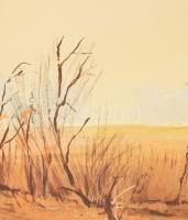 Balogh István Péter (1950-): Aranyrepce. Olaj, farost, jelezve jobbra lent. Hátoldalán Képcsarnok Vá...