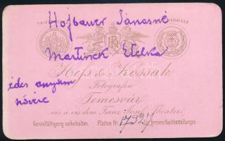 cca 1885 Női portré (Hofbauer Jánosné Martinek Etelka), keményhátú fotó Hess és Kossak temesvári műt...