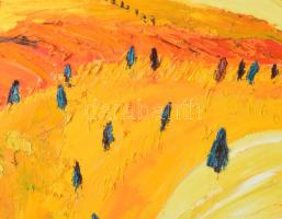 Varga Patrícia Minerva (1963-): Valami Fáj a tájnak (Tóth Árpád). I. világháborús katona dédapám eml...