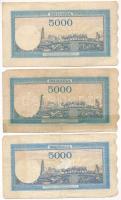 Románia 1944-1945. 5000L (3xklf) T:F egyik ragasztott Romania 1944-1945. 5000 Lei (3xdiff) C:F one g...