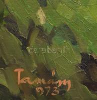 Tamás v. Tamásy jelzéssel (Tamás Ervin?)): Szentendrei részélet, 1973. Olaj, vászon, fakeretben, 70×...