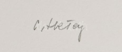 Hetey Katalin (1924-2010): Kompozíció. Szitanyomat, papír. Jelzett. Számozott (27/40). Lapméret: 54x...