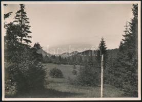 cca 1910 Brassó környéki hegyek, Erdélyi Mór (1866-1934) felvétele, hátulján feliratozva, 11,5×16 cm / Brasov (Kronstadt), mountains, vintage photo by Mór Erdélyi, 16×11,5 cm