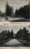 1918 Nagybánya, Baia Mare; Széchenyi liget. Kovács Gyula kiadása / park (szakadás / tear)