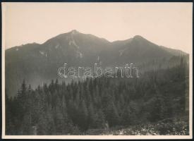 cca 1910 Brassó környéki hegyek, Erdélyi Mór (1866-1934) felvétele, hátulján feliratozva, 11,5×16 cm / Brasov (Kronstadt), mountains, vintage photo by Mór Erdélyi, 16×11,5 cm