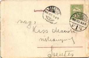 1906 Temesvár, Timisoara; Erőd utca. Polatsek kiadása / street view (EM)