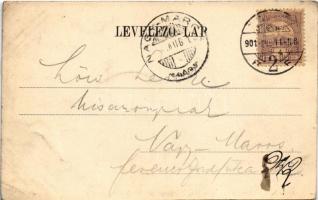 1901 Temesvár, Timisoara; Gyárváros, Páva utca sarka, Králicsek Béla üzlete és saját kiadása / stree...