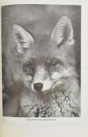 Heltay István: A róka ökológiája és vadászata. Bp.,1989, Mezőgazdasági, 175+1 p.+4 t. (fekete-fehér ...