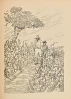 Móricz Zsigmond: Vidéki hírek és más elbeszélések. Bp., 1917, Táltos. Első kiadás! Haranghy Jenő ill...