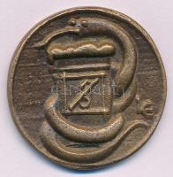 Ligeti Erika (1934-2004) DN "Sprencz Jenő szoboröntő" kétoldalas bronz névjegyérem (38mm) ...