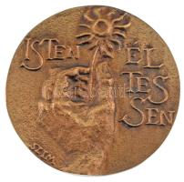 Szabó Imre (1947-2018) DN "Isten éltessen" egyoldalas bronz emlékérem (74mm) T:UNC kis patina