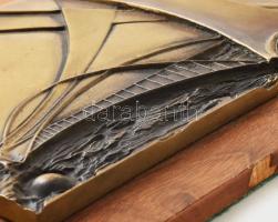 Kiss Kovács Gyula (1922-1984) : Hídépítő vállalat bronz plakett. 15x22 cm Fa alapon. 28x22 cm Fa sér...