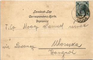 PANNÓNIA egycsavaros tengeri személy és áruszállító gőzhajó / Auf der Fahrt von Fiume nach Dalmatien...