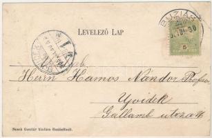 1905 Buziásfürdő, Baile Buzias; Gyógyterem belseje. Nosek Gusztáv kiadása / spa interior (r)