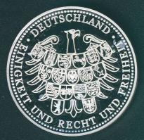 Németország 2007. "Berlin" Ag emlékérem 20g T:PP