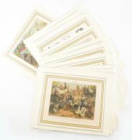 cca 1900 14 db színes állatvilág illusztráció a Meyers Lexikonból, nyomat, papír, mindegyik modern paszpartuban, részben kissé sérült, 21x25 cm