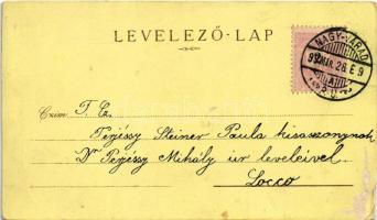 1899 (Vorläufer) Versec, Werschetz, Vrsac; Röm. kath. Kirche, Schlossberg, Kapellenberg, Bischof Pal...