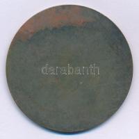 DN "Premontrei Gimnázium, Gödöllő" egyoldalas fém emlékérem (50mm) T:XF szenny