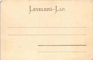 Sepsiszentgyörgy, Sfantu Gheorghe; Fiúárvaház. Benkő Mór kiadása / boys' orphanage (EK)