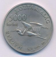 2006. 5000Ft Ag "Fertő kultúrtáj" T:AU patina Adamo EM203