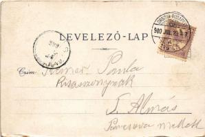 1900 Lippa, Lipova; utca, Grosz Nővérek üzlete. Fischer G. kiadása / street view, shops (EB)