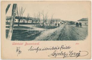 Bozovics, Bozovici; Fő tér, Alexander C. Brank. üzlete / main square, shop (EK)