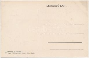 Puj, Pui (Hunyad); utca, Járásbíróság. Ábrahám Ig. kiadása / street, county court