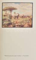 Huszár László: Kwaheri. Viszontlátásra. Afrikai vadásznaplójából írta: - -. Bp.,[1929] , Kir. M. Egy...