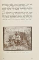 Huszár László: Kwaheri. Viszontlátásra. Afrikai vadásznaplójából írta: - -. Bp.,[1929] , Kir. M. Egy...