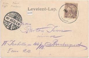 1901 Dognácska, Dognatschka, Dognecea; bánya. Adolph Rosner kiadása / mine (fa)