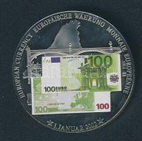 Libéria 2002. 1$ "Európai valuta - 100€" multicolor T:PP