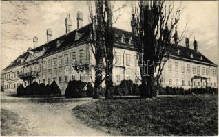 1929 Malacka, Malatzka, Malacky; Pálffy kastély. A. Wiesner kiadása / castle (EK)