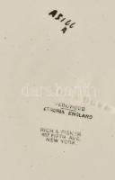 cca 1890/1900, Wedgwood Etruria virágos ágon pihenő madár mintával díszített pecsenyés tál. Kézzel f...