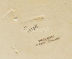 cca 1890/1900, Wedgwood Etruria virágos ágon pihenő madár mintával díszített pecsenyés tál. Kézzel f...
