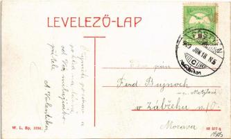 1909 Pöstyén, Piestany; Régi fürdők a szigettel, Vág folyó. W.L. Bo. 5736. / Alte Bäder mit der Inse...