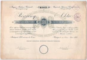 Budapest 1920. "Magyar Általános Fatermelő Részvénytársaság" részvénye 200K-ról szelvények...