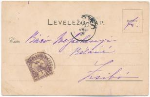 1901 Csákigorbó, Garbou; Haller kastély, Jósika kastély Szurdukban / castle, castle in Surduc. Art N...