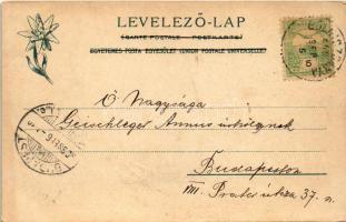 1903 Gölnicbánya, Göllnitz, Gelnica; Thurzóvár romjai. Feitzinger Ede 1902/12. 449. / Ruine / castle...