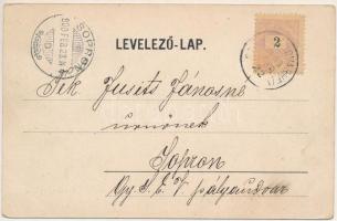 1900 Székelyudvarhely, Odorheiu Secuiesc; Millenium szobor, Hodor Károly üzlete, liszt és termény ra...